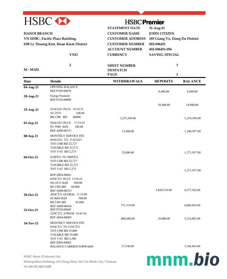 Szablon wyciągu bankowego Vietnam HSBC w programie Word i PDF
